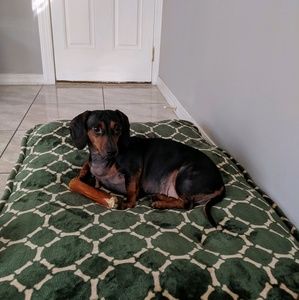 Meet your Posher, Pam